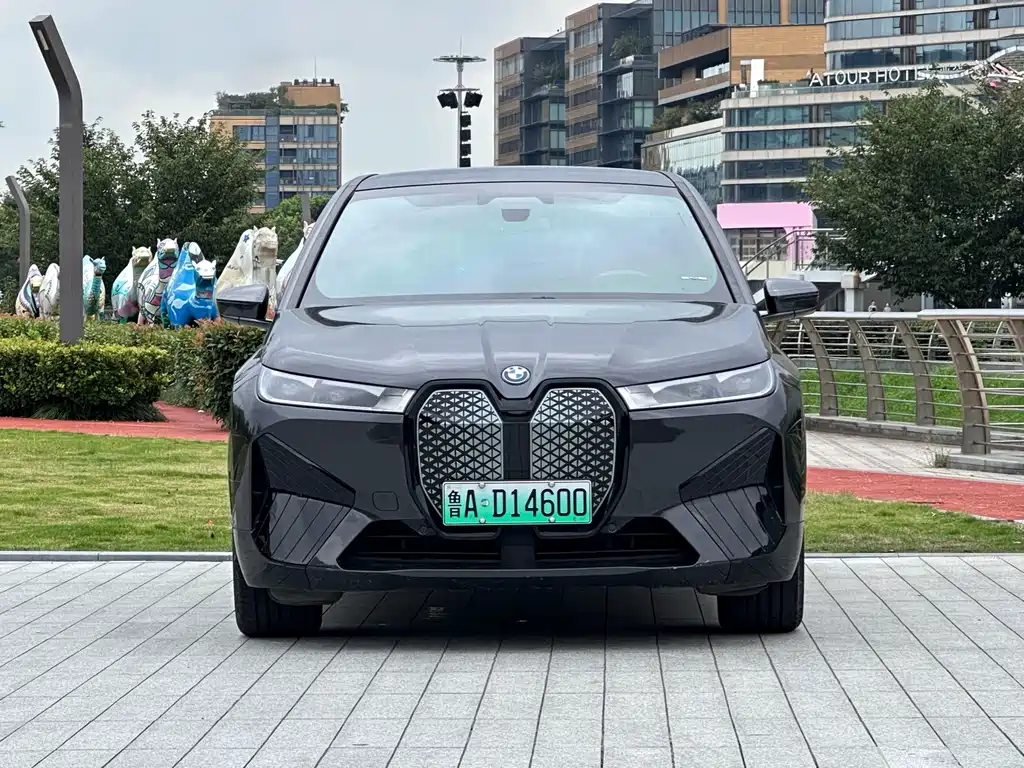 BMW iX — миниатюра 2