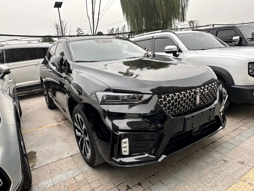 WEI PAI WEI BRAND VV7