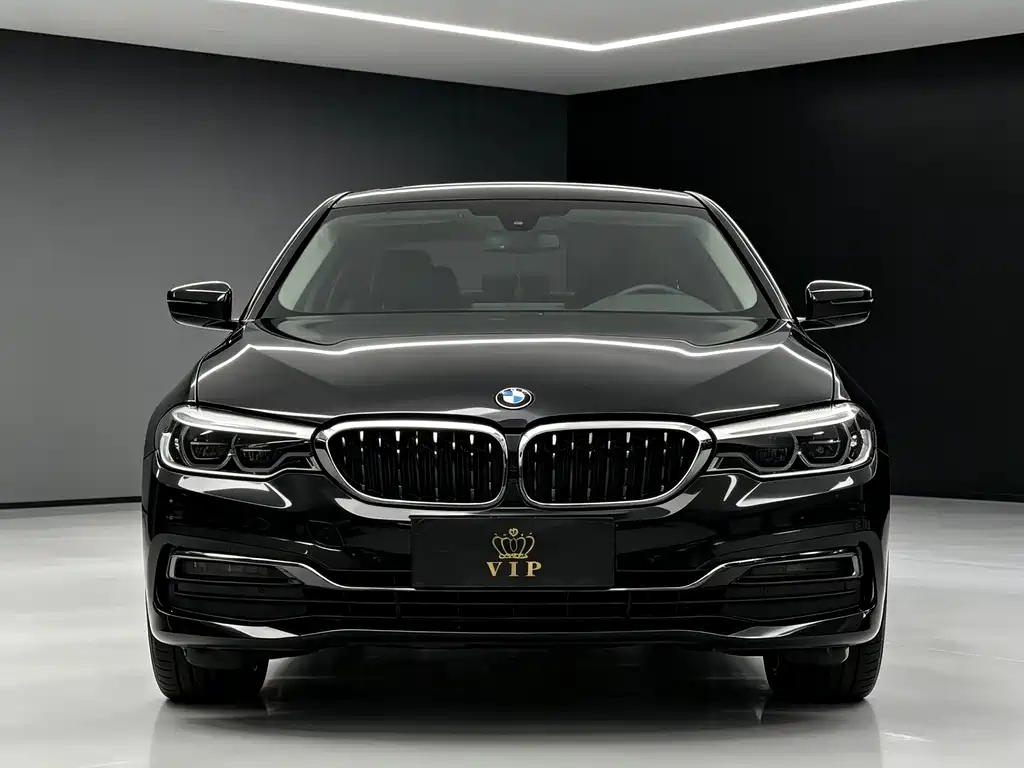 BMW 5 Series 5 2020 530Li Premium Luxury