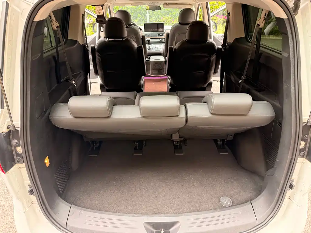 Maxus G10 PLUS 2.0T Auto Elite Edition China VI, фото 45