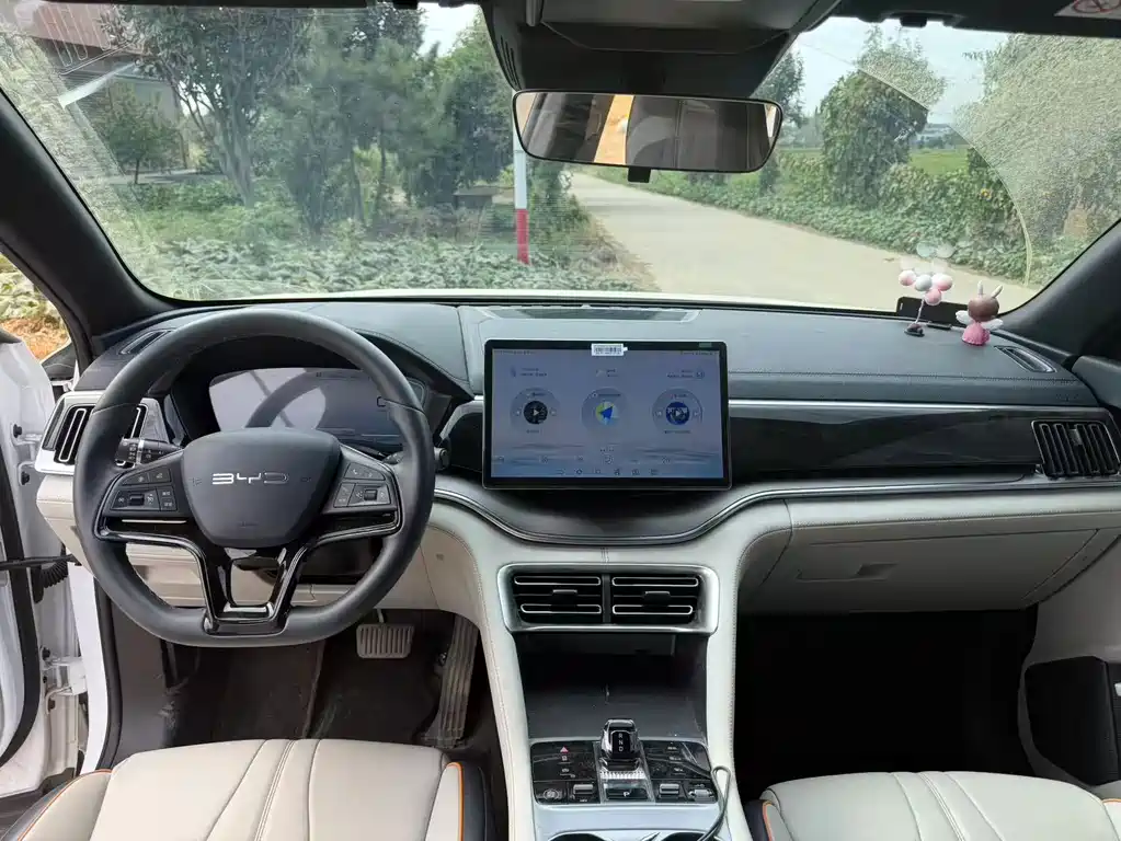 BYD PLUS New Energy — миниатюра 5