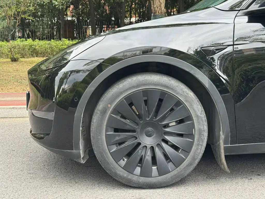 Tesla Model Y — миниатюра 11