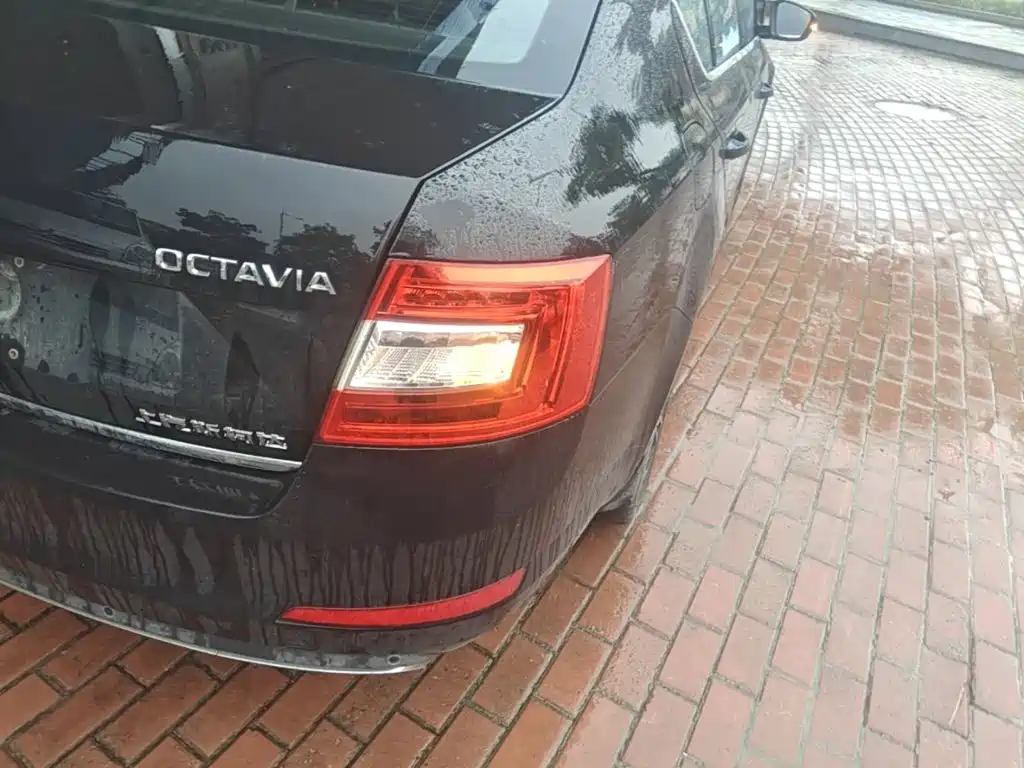 Skoda Octavia — миниатюра 8