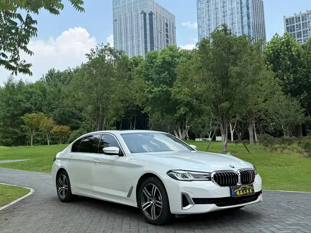 BMW 5 Series — миниатюра 3