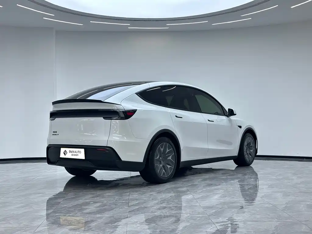 Tesla Model Y L — миниатюра 7