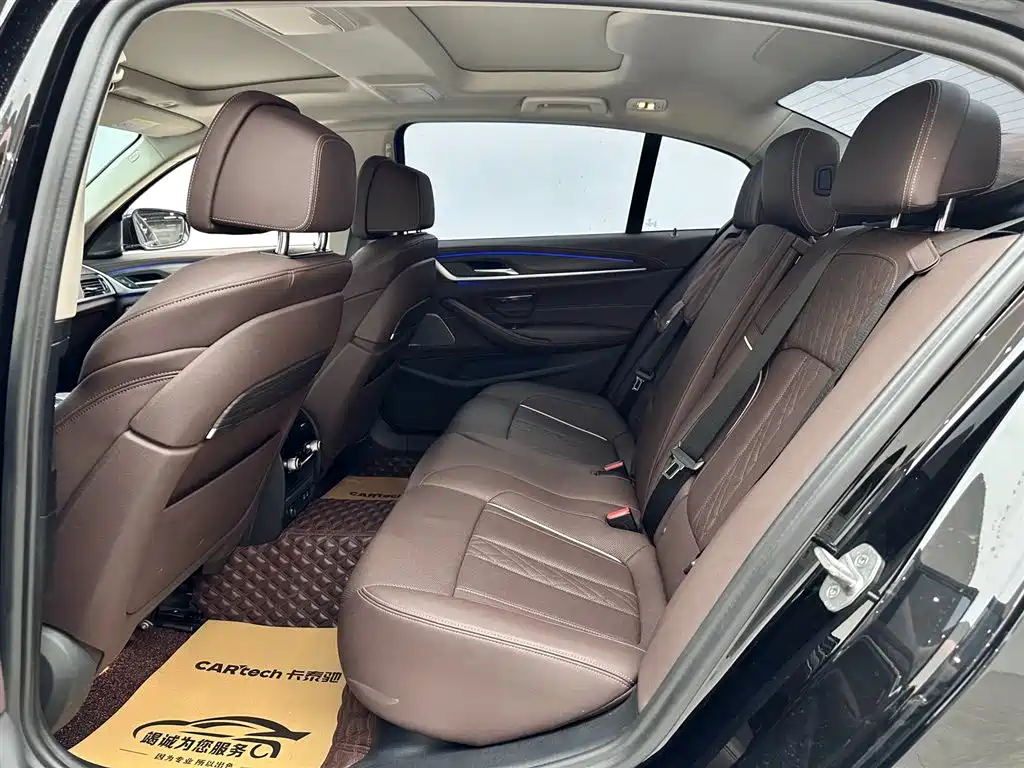 BMW 5 Series 5 2021 530Li Premium Luxury