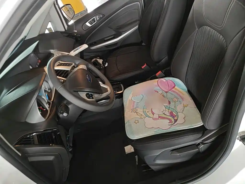 Ford Ecosport — миниатюра 15