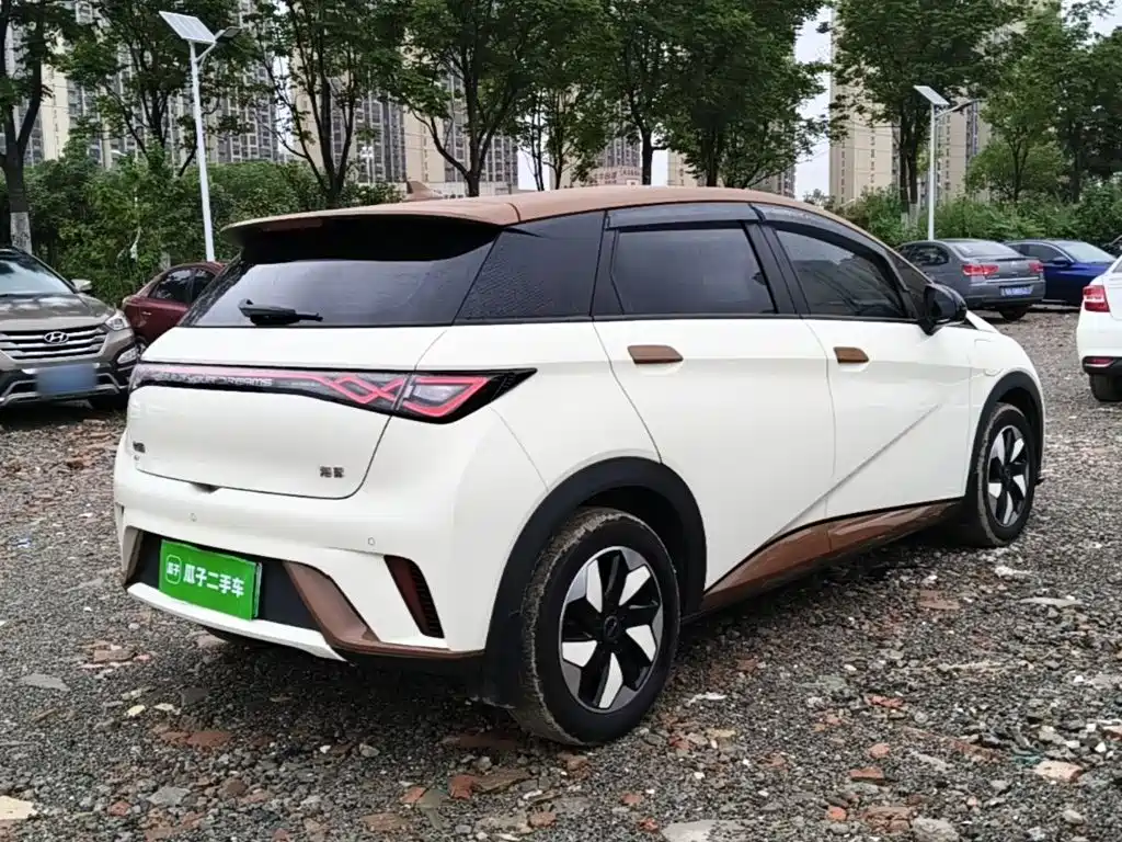 BYD Dolphin — миниатюра 7