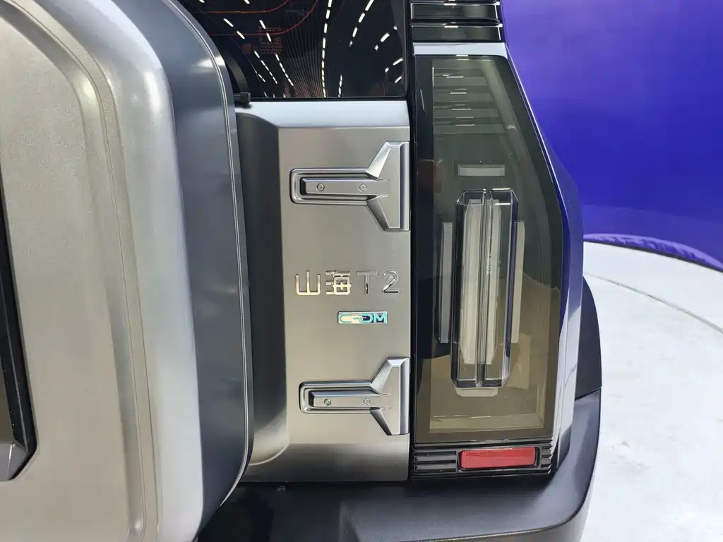 Shanhai Traveller C-DM — миниатюра 17