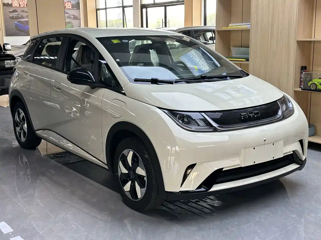 BYD Dolphin — миниатюра 6