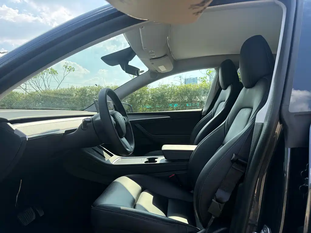 Tesla Model Y — миниатюра 4