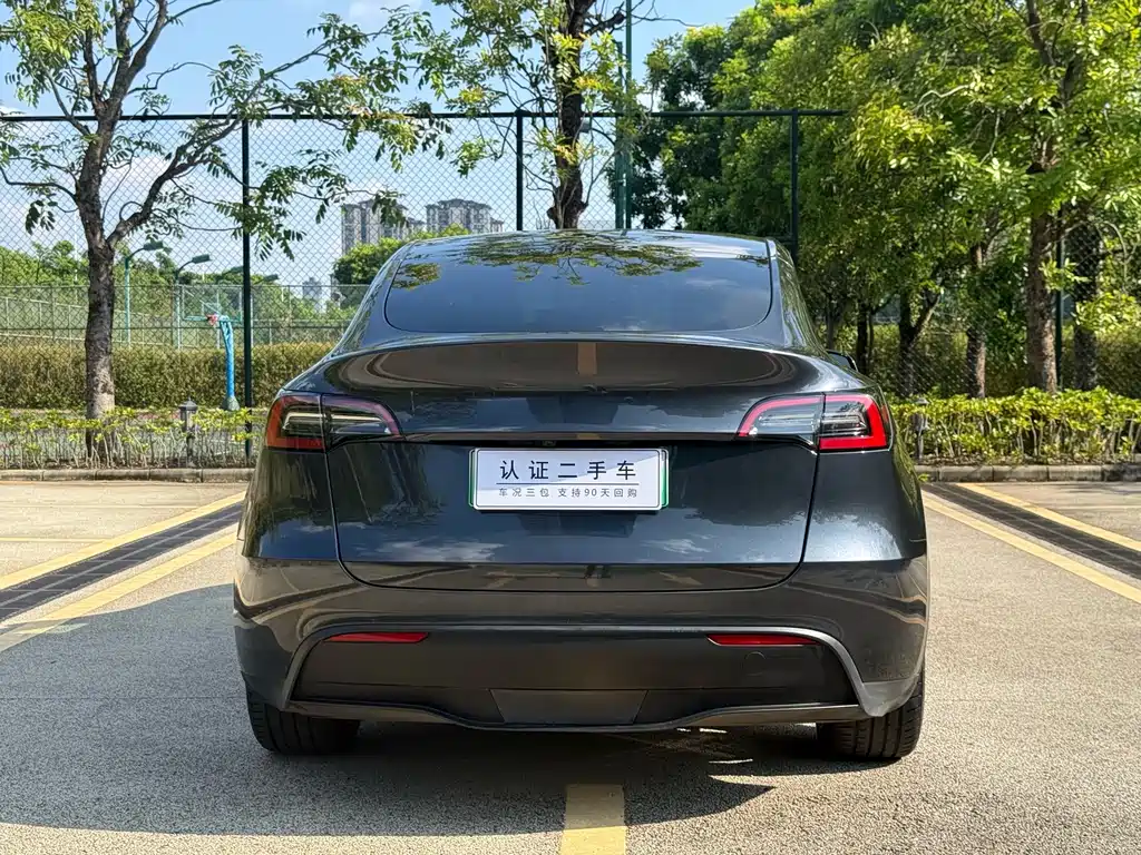 Tesla Model Y — миниатюра 10