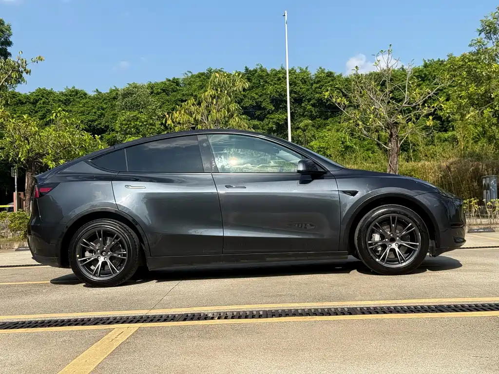 Tesla Model Y — миниатюра 15