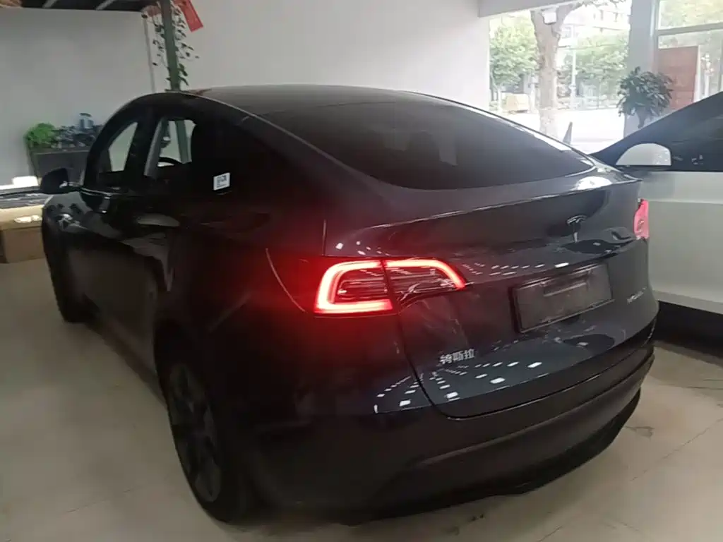 Tesla Model Y — миниатюра 5