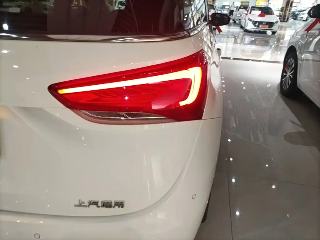 Buick GL6 — миниатюра 7