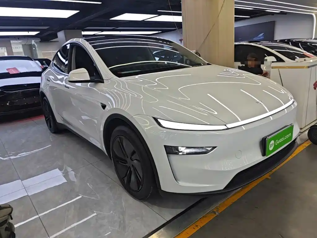 Tesla Model Y — миниатюра 4