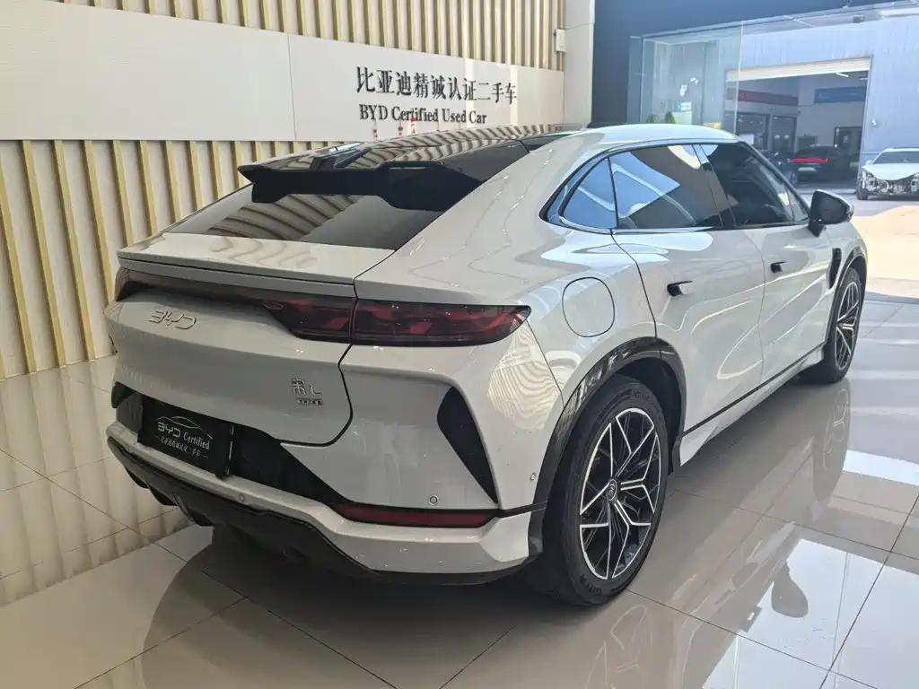 BYD L EV — миниатюра 6