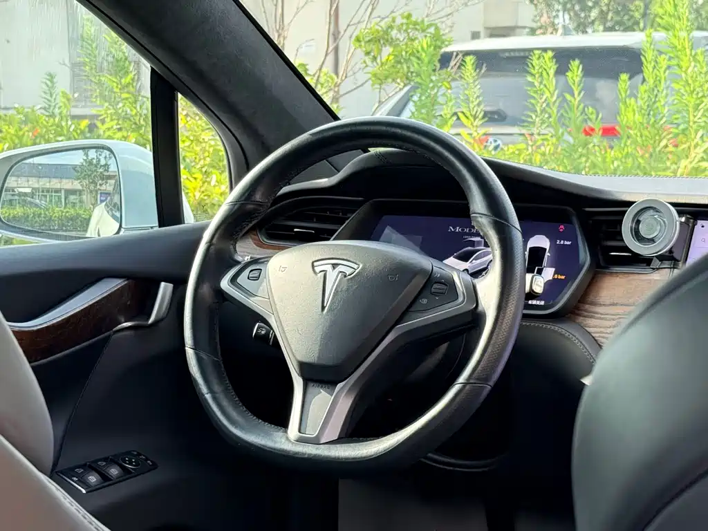 Tesla Model X — миниатюра 19
