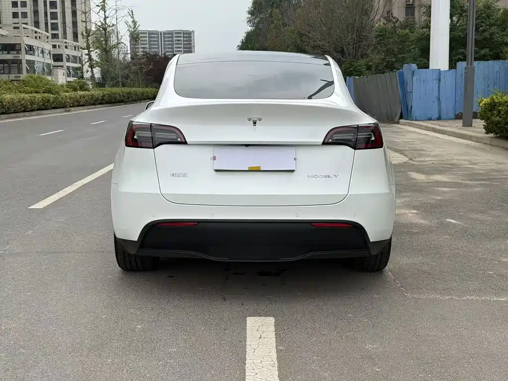 Tesla Model Y — миниатюра 9