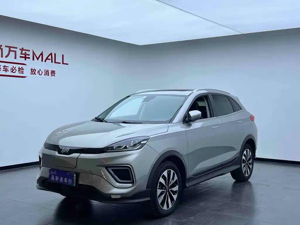 WM Motor EX5 — миниатюра 3