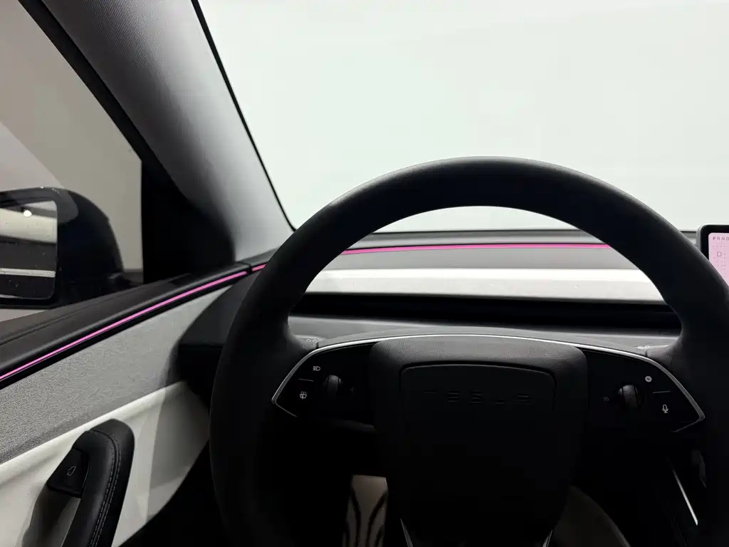 Tesla Model Y — миниатюра 8