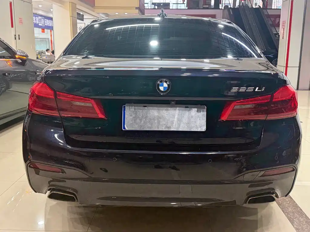 BMW 5 Series — миниатюра 3