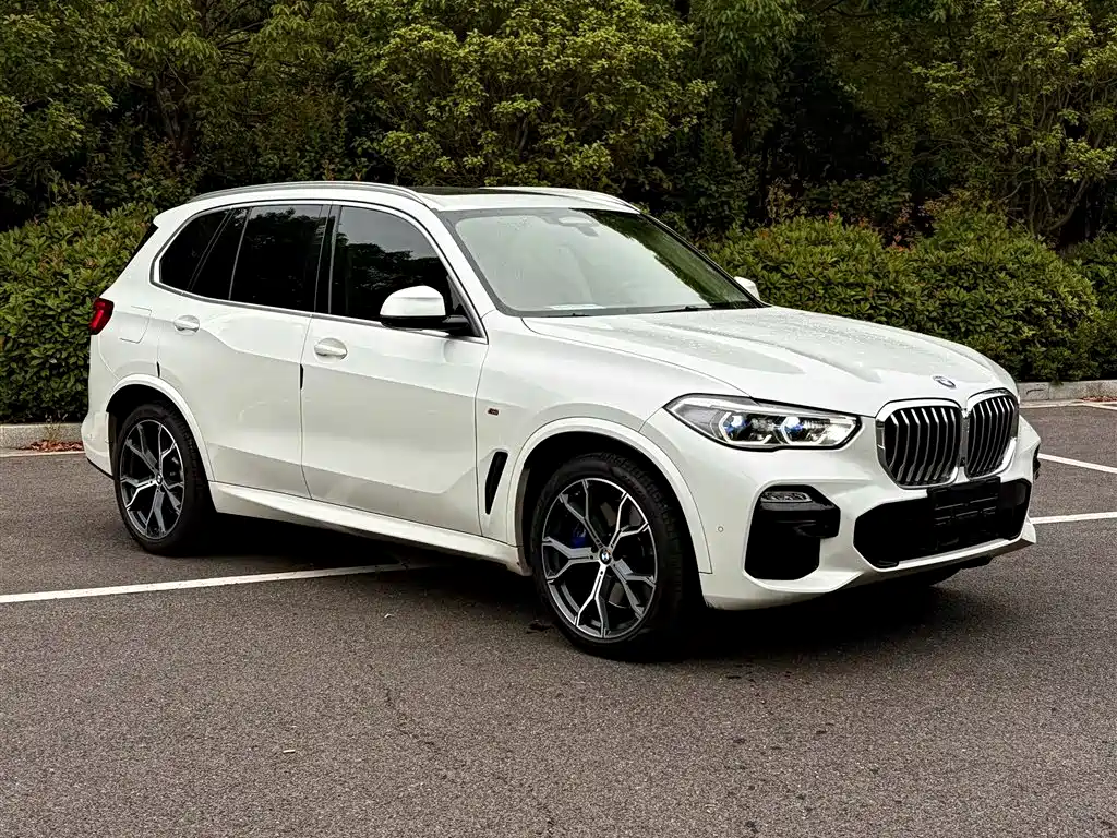 BMW X5 (Import) — миниатюра 4