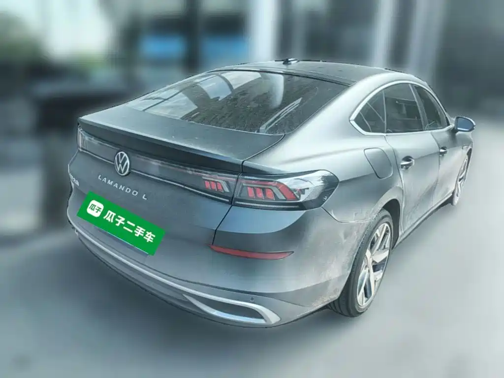 Volkswagen Lamando — миниатюра 10