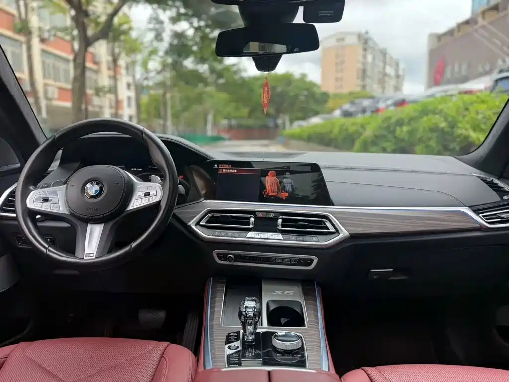 BMW X5 — миниатюра 8