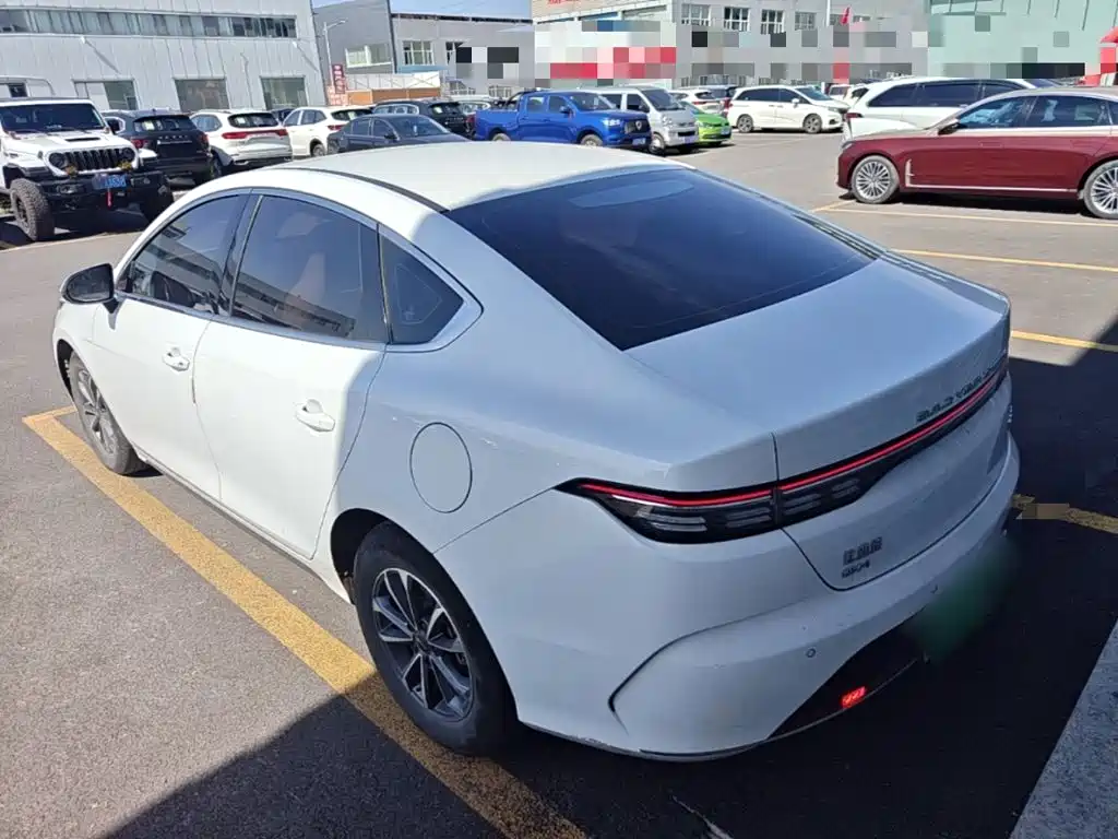 BYD Destroyer 05 2024 DM-i 55KM Luxury