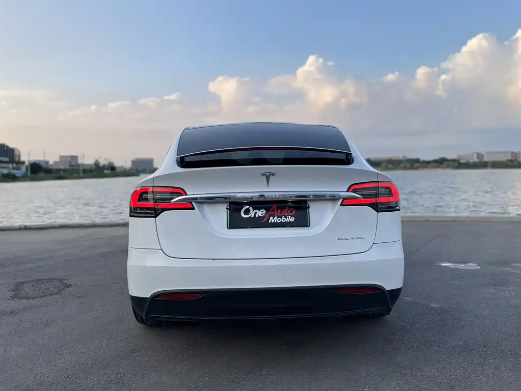 Tesla Model X — миниатюра 6