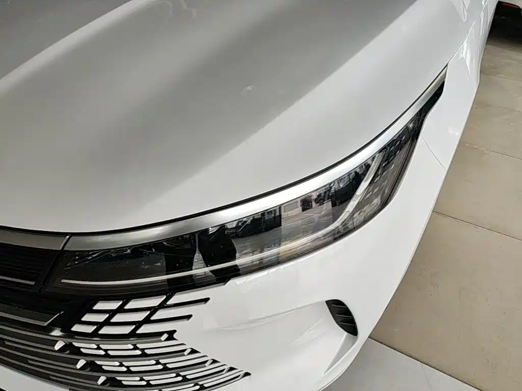 BYD Destroyer 05 — миниатюра 24