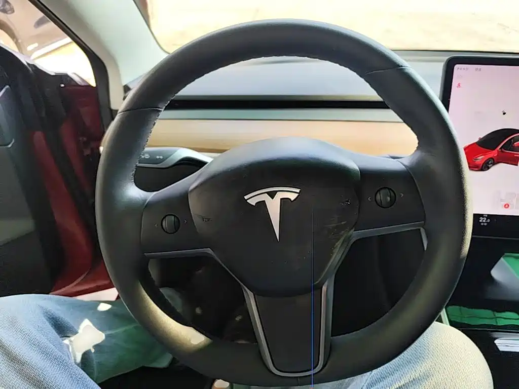 Tesla Model 3 — миниатюра 11