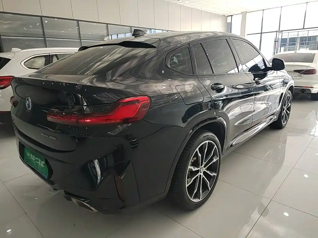 BMW X4 — миниатюра 7