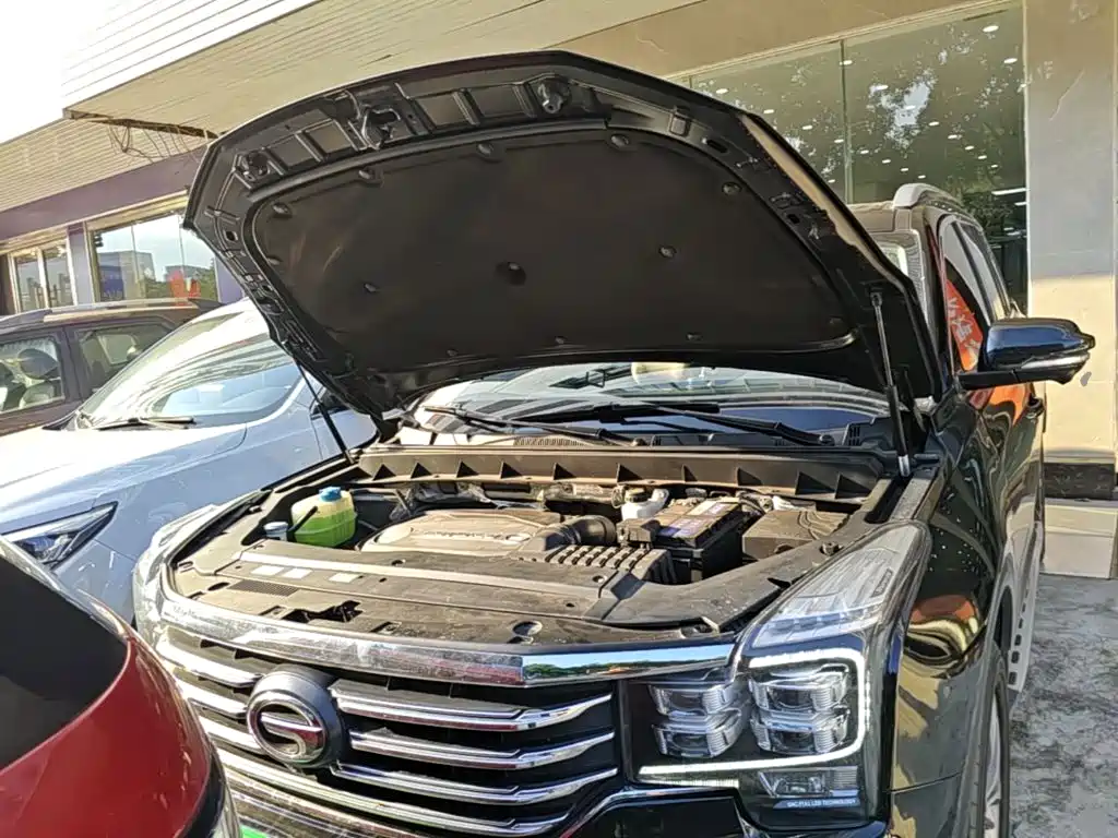 GAC Motor Trumpchi GS8 — миниатюра 20