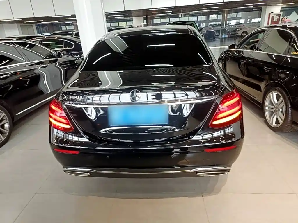 Mercedes-Benz E-Class E 2020 E 300 L