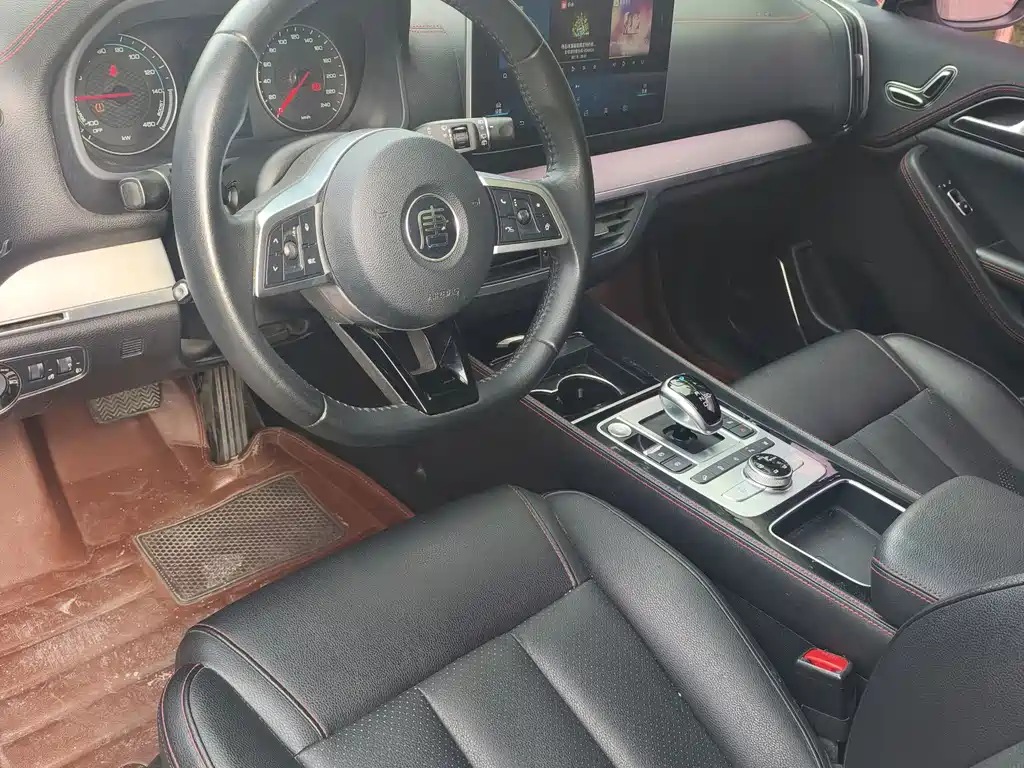 BYD Tang New Energy — миниатюра 6