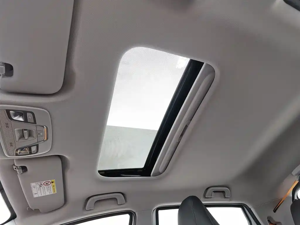 Rayleigh Ruilan X3 PRO — миниатюра 14
