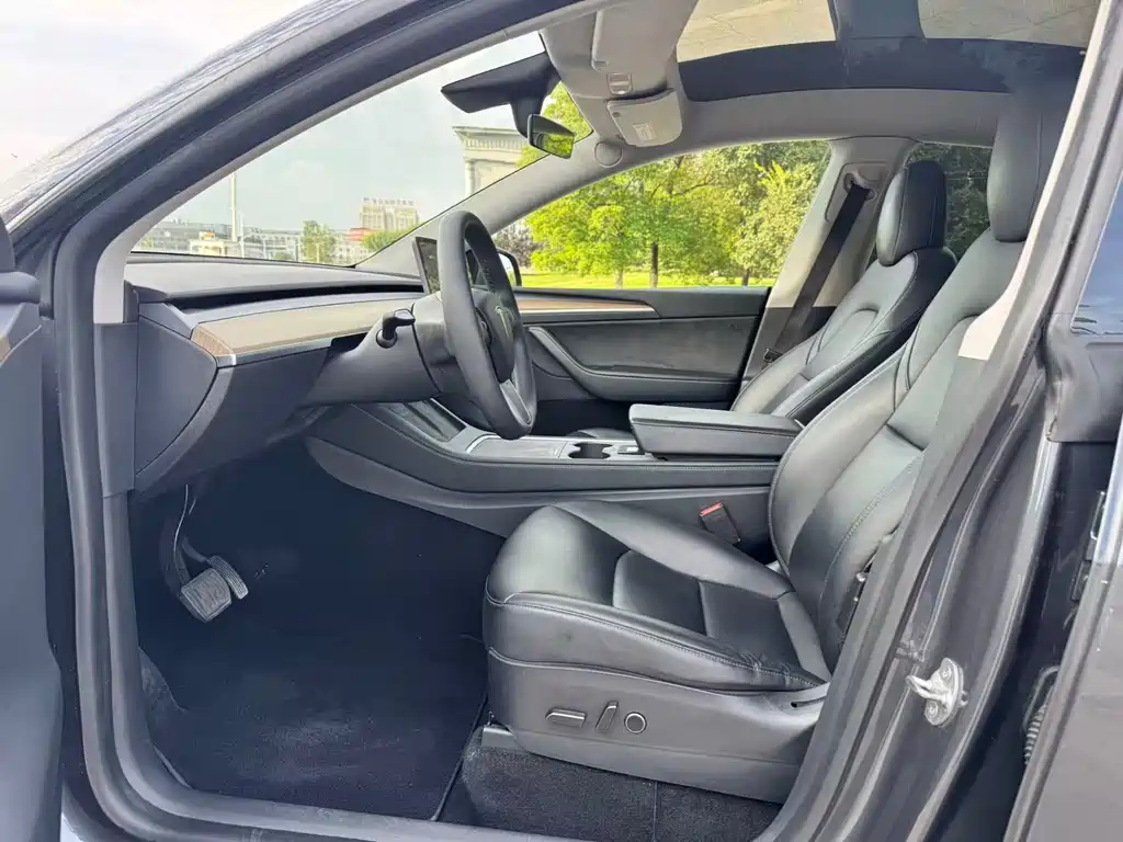 Tesla Model Y — миниатюра 4