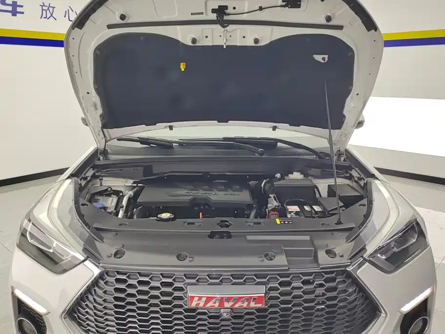 Haval H6 Coupe — миниатюра 10