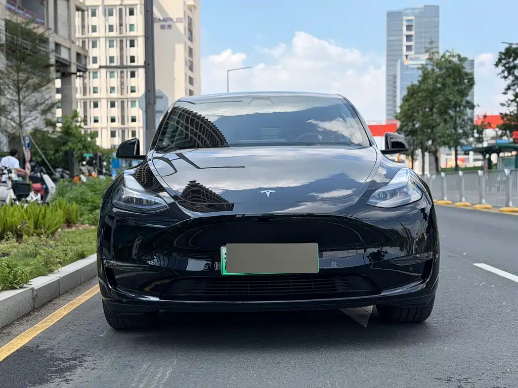 Tesla Model Y — миниатюра 2