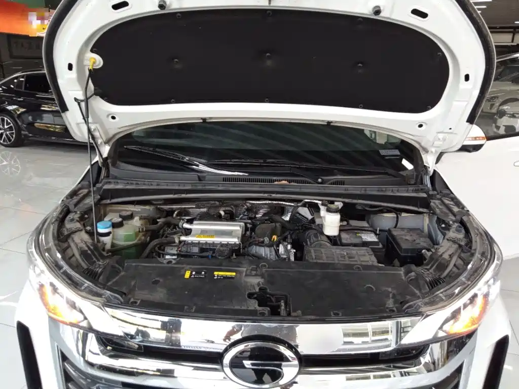 GAC Motor Trumpchi M6 — миниатюра 20