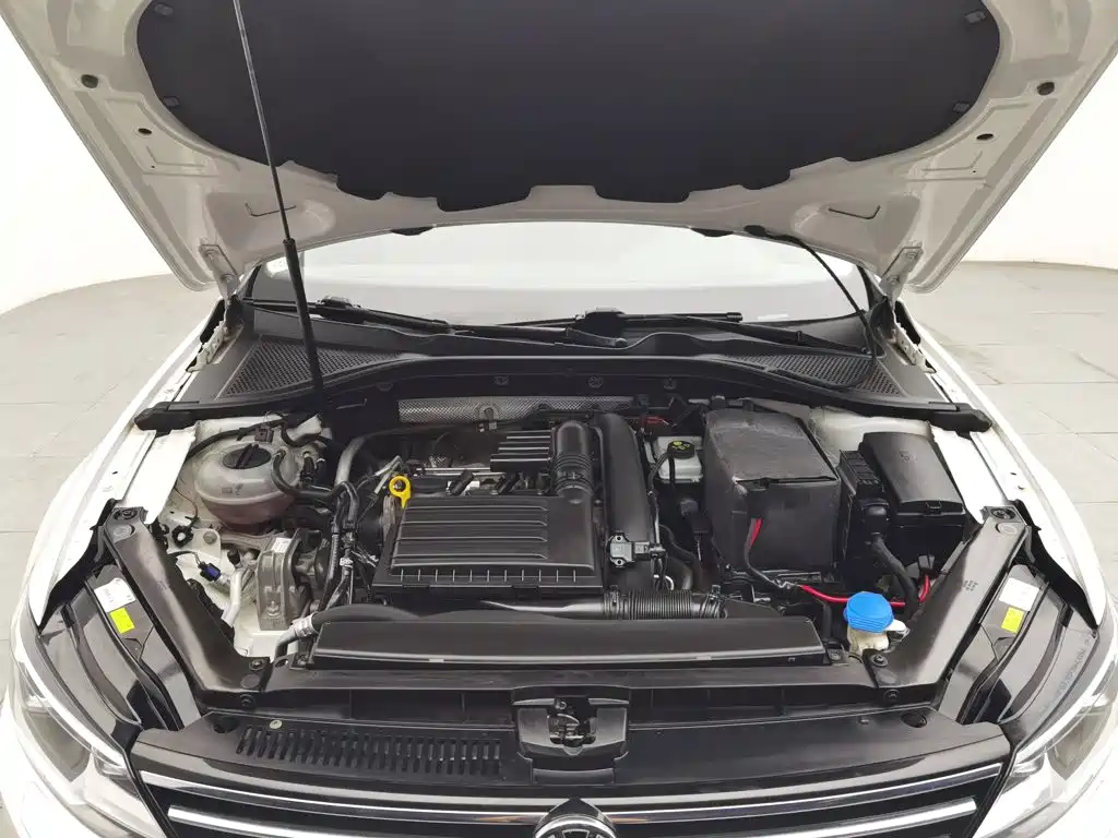 Volkswagen Lamando — миниатюра 6