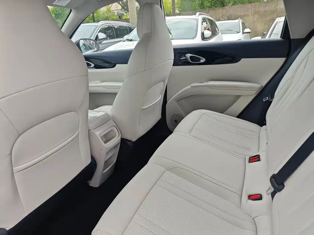Geely Geome Xingyuan 2025 310km