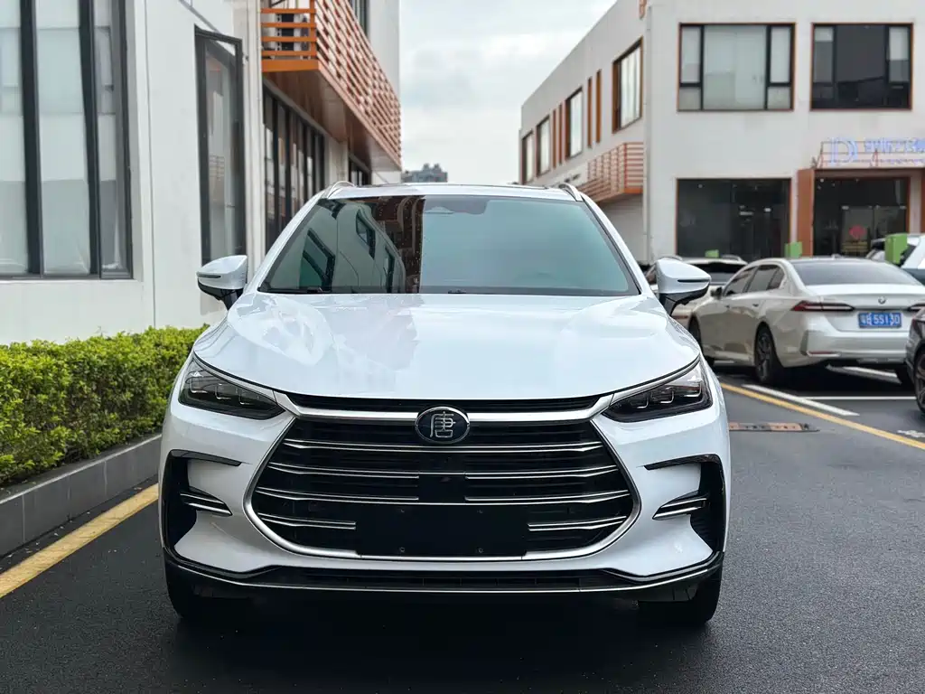 BYD Tang New Energy — миниатюра 2