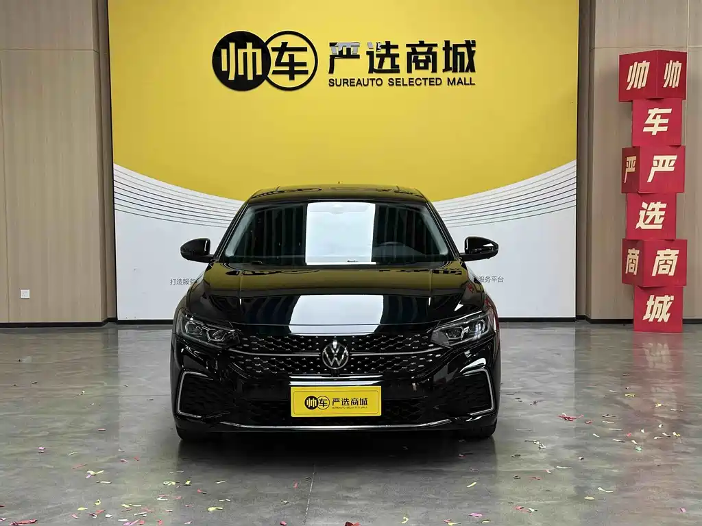 Volkswagen Passat — миниатюра 2
