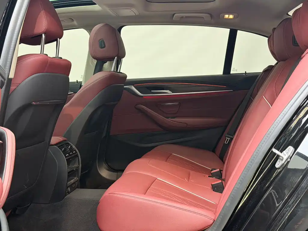 BMW 5 Series 5 2021 530Li Lead Luxury