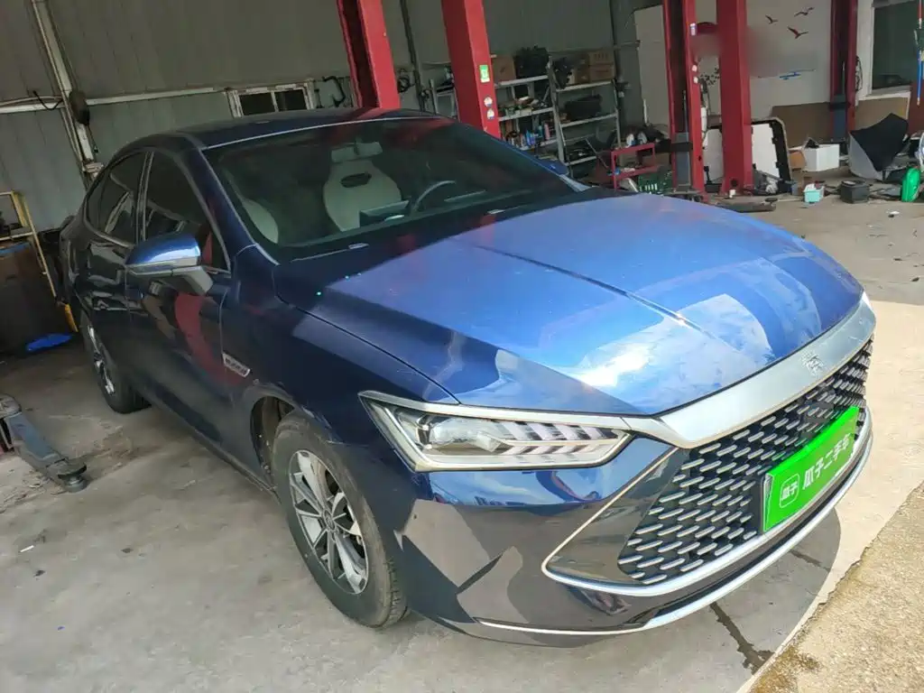 BYD Qin Plus PLUS 2024 DM-i 55KM Lead