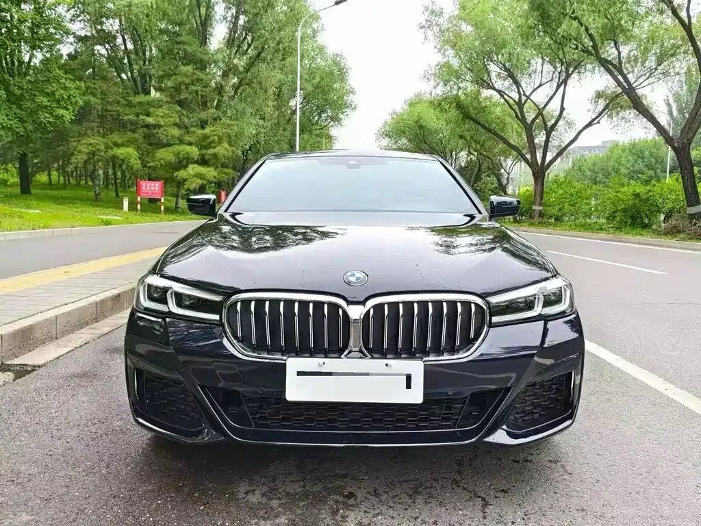 BMW 5 Series — миниатюра 2