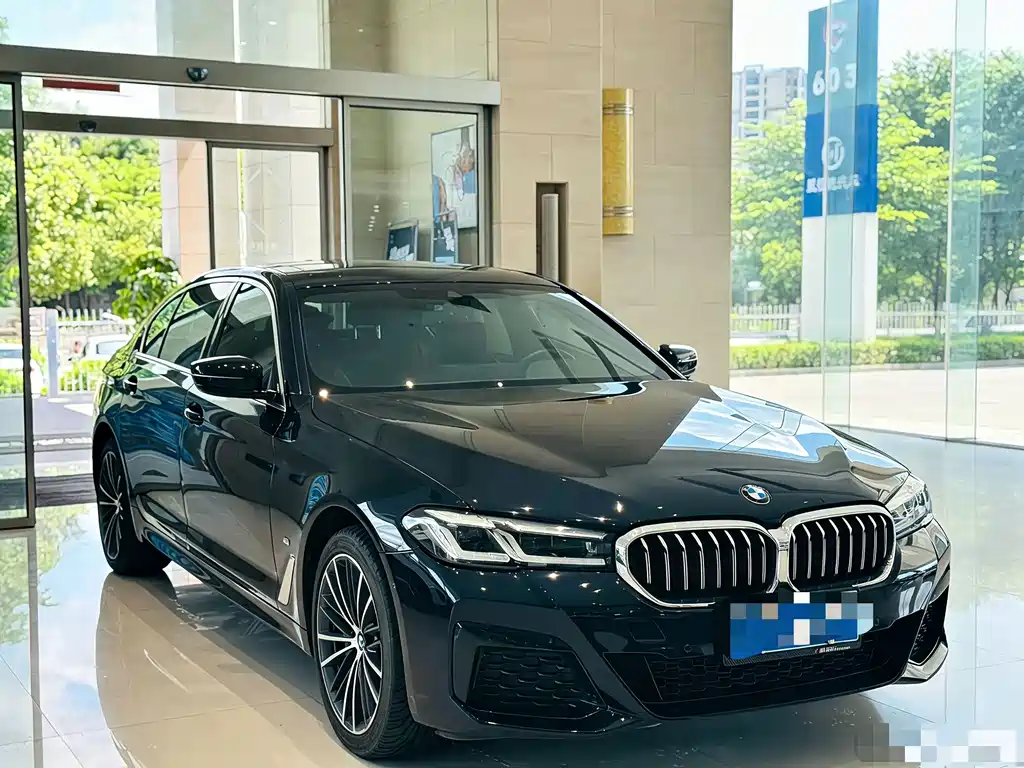 BMW 5 Series — миниатюра 3